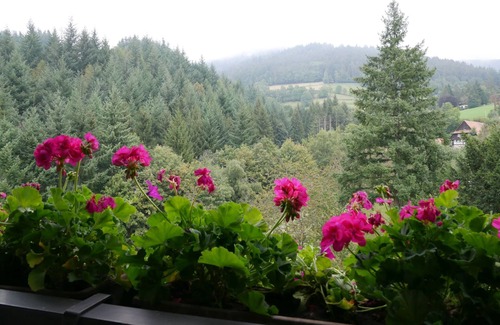 Seebach Apartment | Cozy Doppelzimmer mit Balkon für 2 Personen, Ideal für Familien