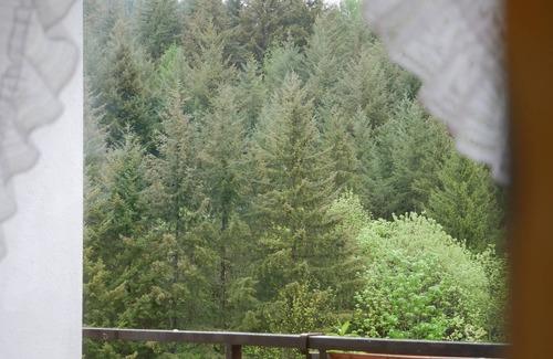 Seebach Apartment | Relaxing Double Room with Balcony for Up to 3 Guests