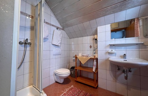 Assachberg Other | Comfortable Double Room with Shower at Fuchshof Hotel