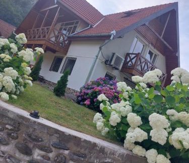 Cartisoara House | Inviting Retreat at Dor de Munte Transfăgarasan: 8.8/10 Rated