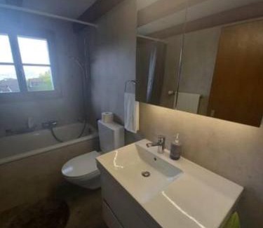 Emmetten House | Family Rooms at Szilvias Bergwiesenblick – Pet Friendly Stay