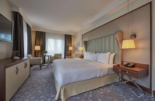 Zentrum Hotel | Discover Dorint Hotel Bonn: Pet Friendly with Pool & Spa