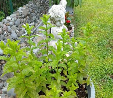 Pisogne House | Doris' home