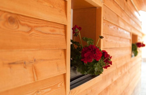 Hodmezovasarhely House | Welcoming Dorottya Vendégház: Guest Rated 9/10 and Family-Friendly