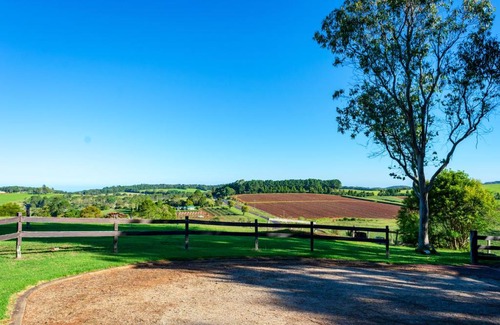 Dorrigo Other | Family-Friendly Dorrigo Mountain Holiday Park Retreat