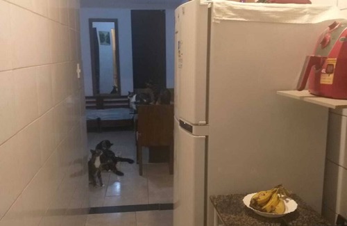 Salvador Apartment | Double Room with Shared Bathroom