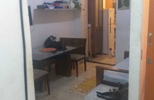 Salvador Apartment | Double Room with Shared Bathroom
