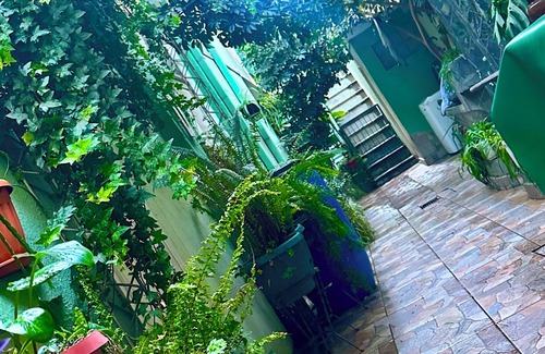 Cochabamba House | Double room with queen size bed and sofa bed, terrace and plants