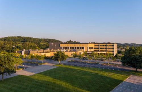 Mars Hotel | Pet-Friendly Retreat at DoubleTree by Hilton Pittsburgh
