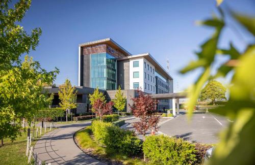 Papakura Hotel | Elegant Doubletree By Hilton Karaka with Oceanfront Pool