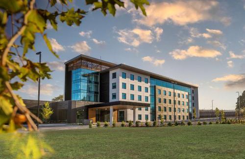 Papakura Hotel | Elegant Doubletree By Hilton Karaka with Oceanfront Pool