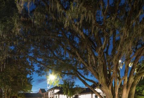Gainesville Hotel | Relax at DoubleTree by Hilton Gainesville with Pool & Ocean Views