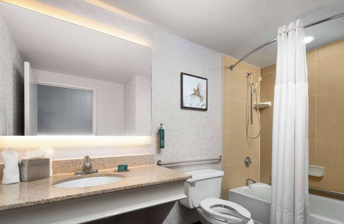 Windsor Locks Hotel | Relaxing Stay at DoubleTree by Hilton Hartford - Bradley Airport