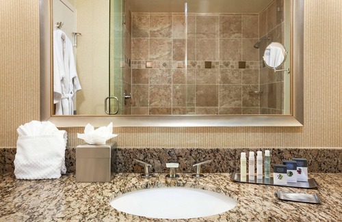 Dallas Hotel | Discover Comfort at DoubleTree by Hilton Dallas – Love Field