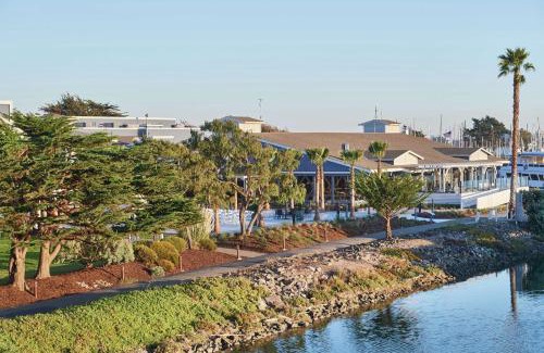 Berkeley Hotel | Pet-Friendly Retreat at DoubleTree by Hilton Berkeley Marina
