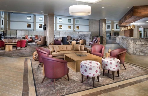 Lawrence Hotel | Discover DoubleTree by Hilton Lawrence: Pet-Friendly Comfort