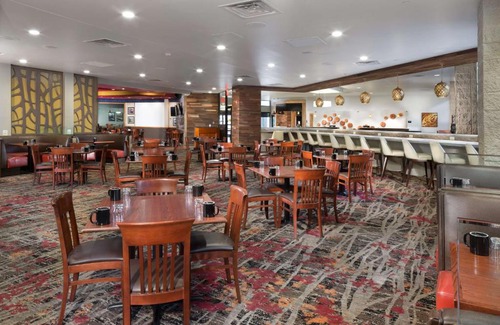 Lawrence Hotel | Discover DoubleTree by Hilton Lawrence: Pet-Friendly Comfort