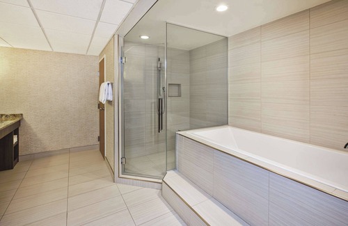 Historic Rapid City Hotel | Experience Holiday Inn Rapid City-Rushmore Plaza Comfort