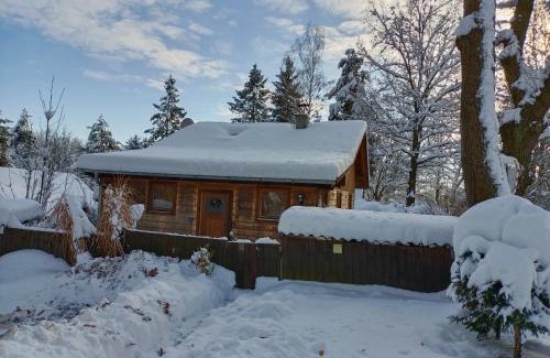 Ceske Budejovice 7 Cabin | Family-Friendly Retreat in Doudleby near Českých Budějovic