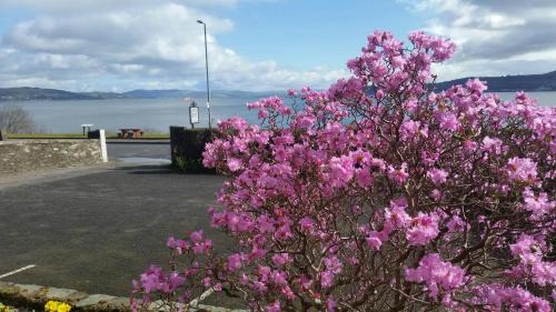 Kilmun Bed & Breakfast | Douglas Park Guest House: Oceanfront Haven, Rated 9.8/10
