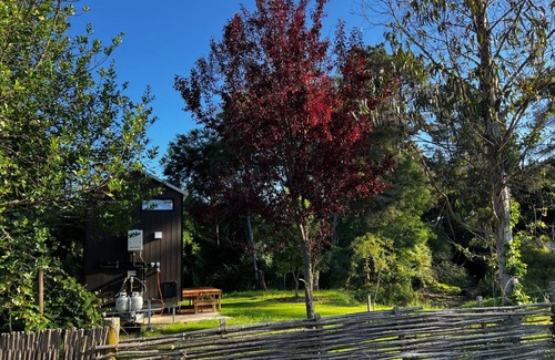 Ngatimoti House | Cozy Dove Creek Tiny House with Pet-Friendly Amenities