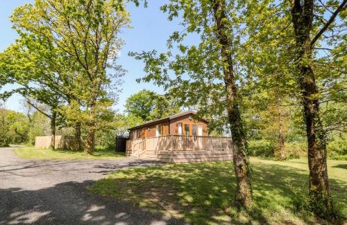 Black Torrington House | Enjoy Pet-Friendly Comfort at Dove Lodge - 4-Star Stay