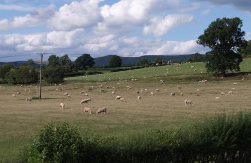 Denstone Bed & Breakfast | Exceptional Dove Meadow: Pet-Friendly Retreat with 9.6 Rating