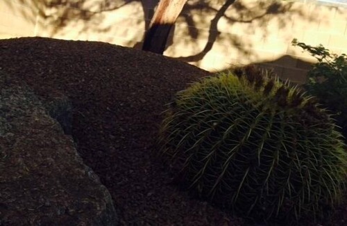 Dove Mountain House | Guest Rated 9.8: Dove Mountain Retreat for Fun and Family