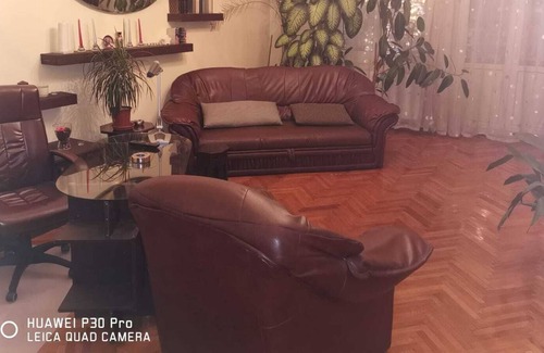 Bucharest City-Centre Cabin | Dowmtown, Stylish,Hospitable