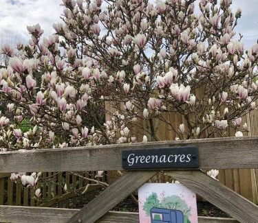 Heligan Bed & Breakfast | Discover Down The Garden Path Vintage Caravan B&B, Dartmoor