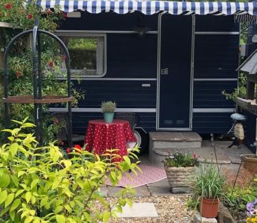Heligan Bed & Breakfast | Discover Down The Garden Path Vintage Caravan B&B, Dartmoor