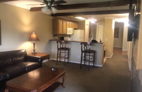 Branson Hotel | Cozy Downtown 1BR Condo at Great Rock Resort