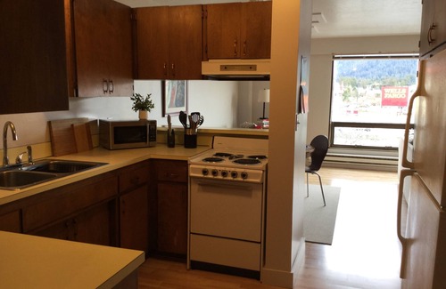 Sitka Apartment | Scenic Downtown Apt. 4 with Ocean and Mountain Views