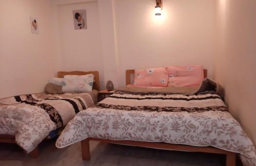 Downtown Cairo Apartment | Pet-Friendly Downtown Cairo Apartment with Kitchen Access