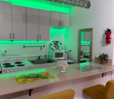 Condado Apartment | Pet-Friendly Downtown Condado Tropical Studio with Ocean View
