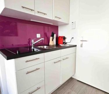 Sihlfeld Apartment | Premier Downtown Studio with Queen Bed & Child Friendly Amenities