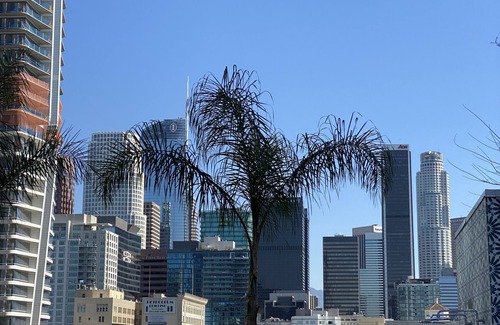 East Los Angeles House | Discover Downtown Los Angeles Center High-Rise Experience