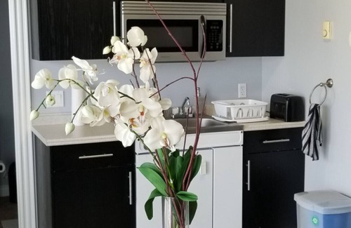 Summerside Condo | Discover the Downtown Summerside Jewel for Families