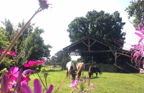 Plesse House | Dpt44 Gite à la ferme accueil PMR