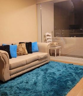 Chillan Apartment | Charming Departamento Chillan: Pet and Child Friendly Stay