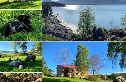 Molde House | Stay at Draget Gård: Family & Pet Friendly Retreat