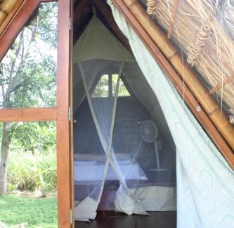 Santa Cruz Cabin | Budget-Friendly Dragon's Garden with Breakfast Included