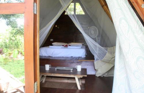 Santa Cruz Cabin | Budget-Friendly Dragon's Garden with Breakfast Included