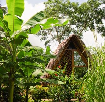Santa Cruz Cabin | Budget-Friendly Dragon's Garden with Breakfast Included