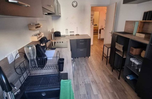 Palais de justice Apartment | Welcoming Dragon's Lair: Pet-Friendly with Kitchen & Breakfast