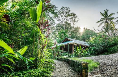 Drake Bay Hotel | Drake Bay Getaway Resort: Oceanfront Bliss Awaits You
