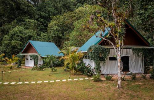Drake Bay Other | River View Retreat: Guest Rated 10/10 with Spa & Oceanfront