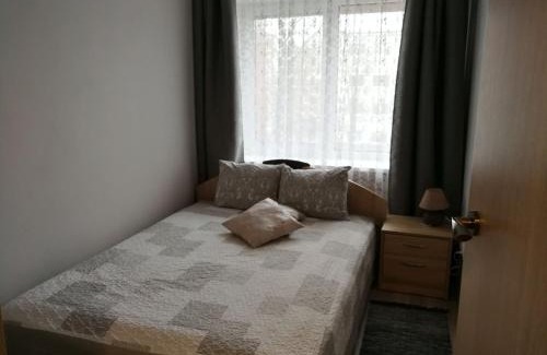 Siauliai City Center Apartment | Discover Draugystės Apartment: Rated 9.4/10 by Guests