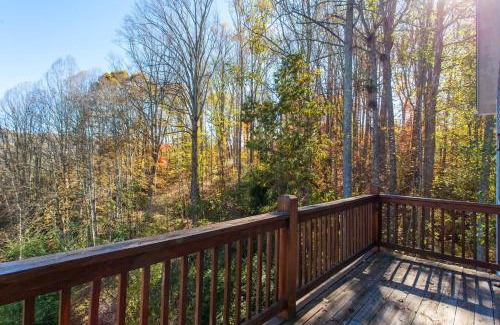 Lake Junaluska House | Experience Dream Come Blue: Family & Pet-Friendly Oasis