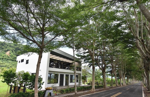 Luye Bed & Breakfast | Dream Field